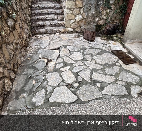 מדרגות אבן ושביל מרוצף בחצר